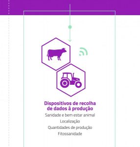 Digitalização Agrícola | Internet of Things | Agrob
