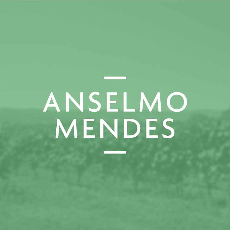 Anselmo Mendes | Projetos e Clientes | Espaço Visual