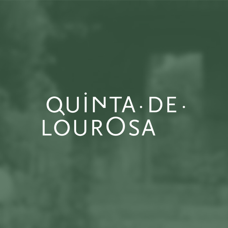 Quinta de Lourosa | Projetos e Clientes | Espaço Visual