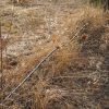 Rega e Fertilização na Amendoeira | Sistema de rega