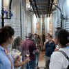Visita Técnica da Vinha – Região dos Vinhos Verdes | Prova de vinhos