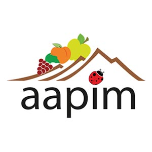 AAPIM | Projetos e Clientes Espaço Visual