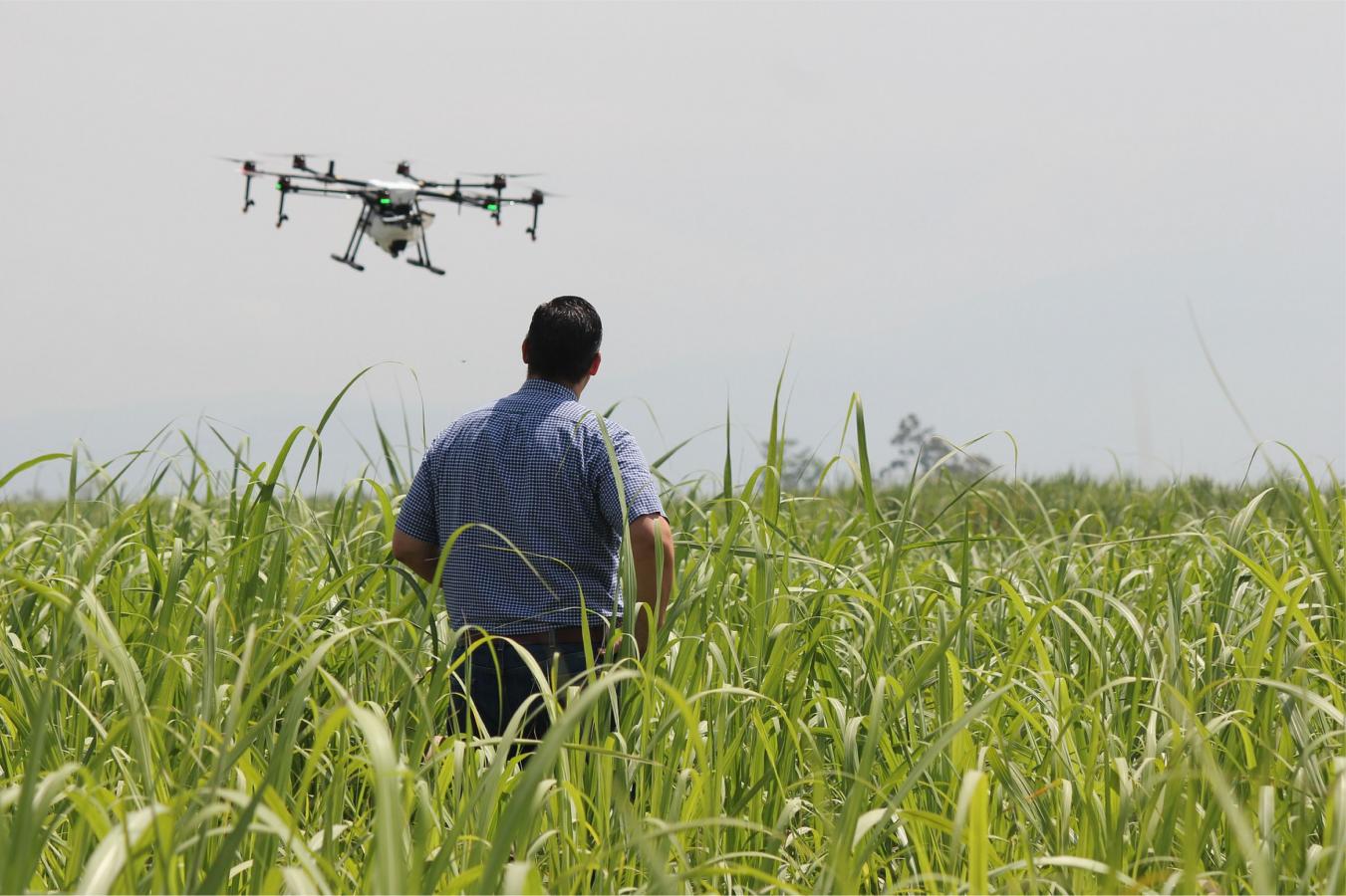 Utilização de Drones na Agricultura | Agricultura de Precisão | AgroB