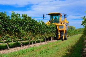 Cartas de Produtividade | Agricultura de Precisão | AgroB