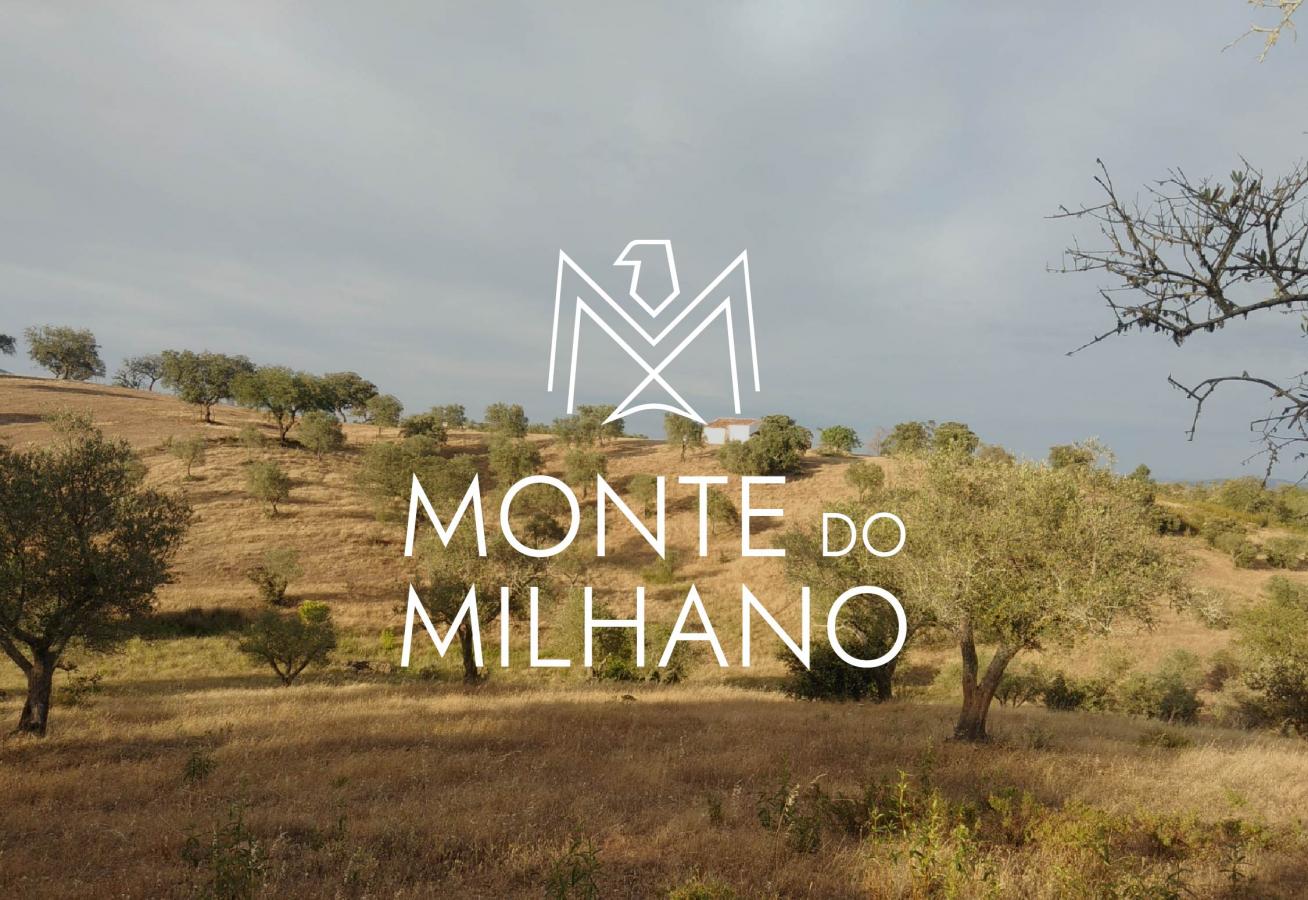 Monte do Milhano | Branding Design e Marketing Digital | Espaço Visual