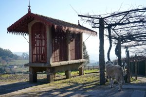 Visita Técnica Paço de Calheiros | AgroB | Programa Avançado de Turismo em Espaço Rural