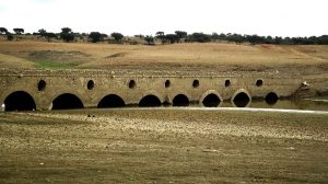 Desafios hídricos na agricultura portuguesa | Espaço Visual